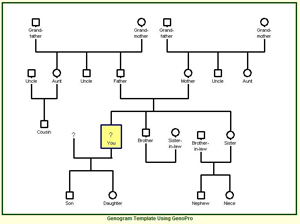 creating a genogram creating a genogram